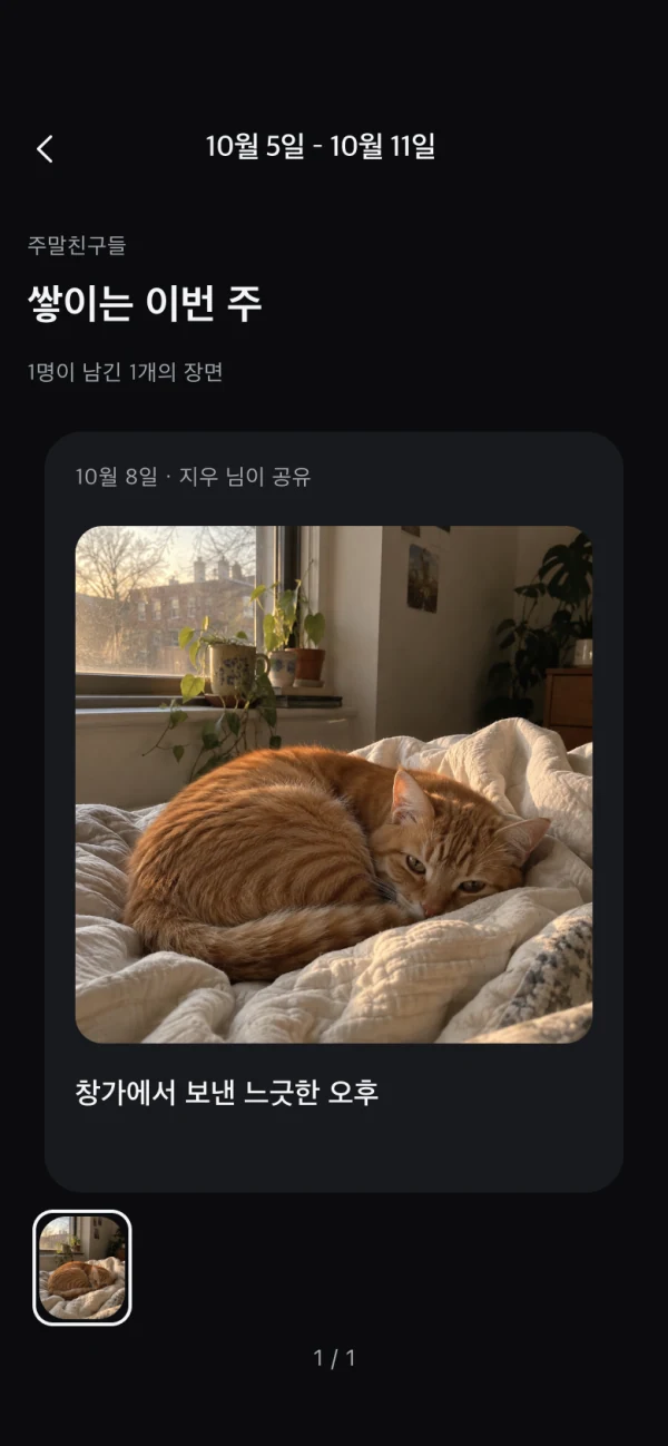 O-Uniの実際の週ごとの記録画面。共有日、共有した人、写真を表示します。画面は韓国語です。